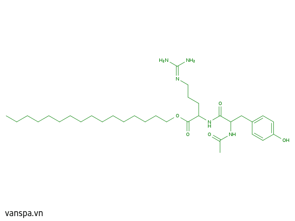 Acetyl Dipeptide-1 Cetyl Ester