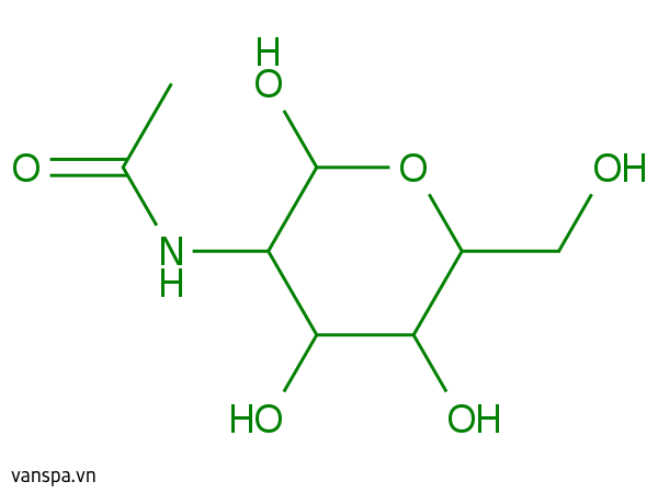 Acetyl Glucosamine