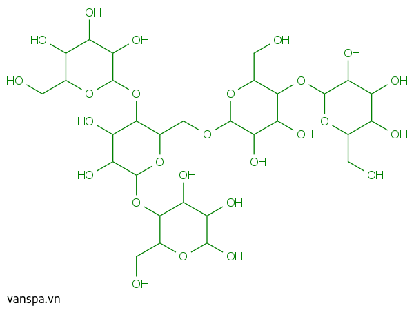 Amylopectin