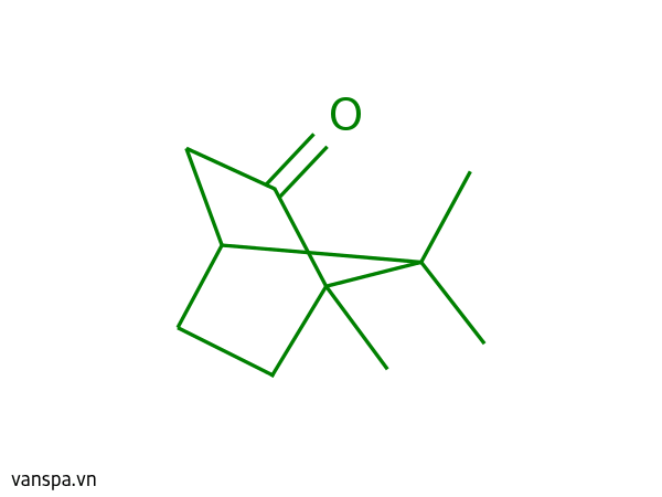 Camphor