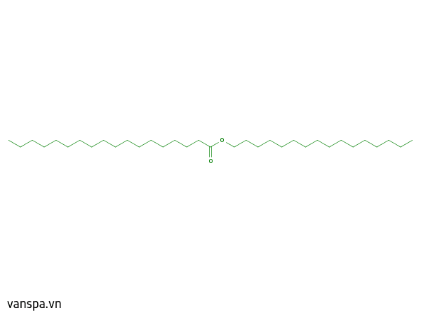 Cetyl Stearate