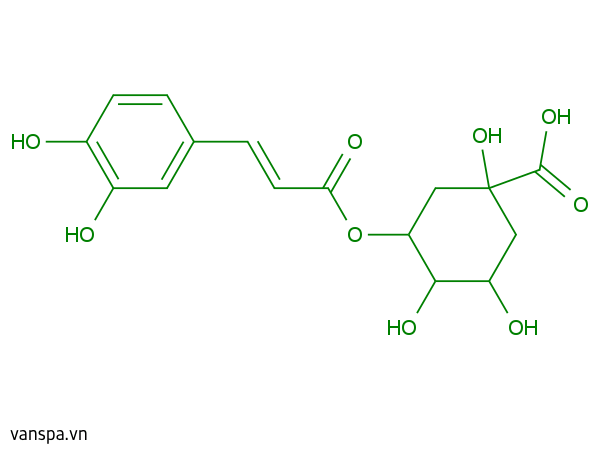 Chlorogenic Acids