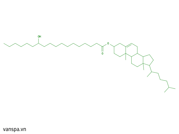 Cholesteryl Hydroxystearate