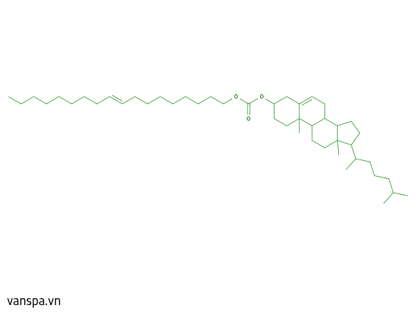 Cholesteryl Oleyl Carbonate