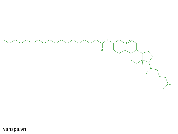 Cholesteryl Stearate