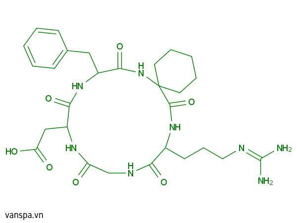 Cyclotetrapeptide-24 Aminocyclohexane Carboxylate