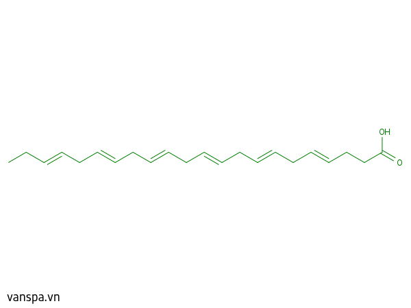 Docosahexaenoic Acid