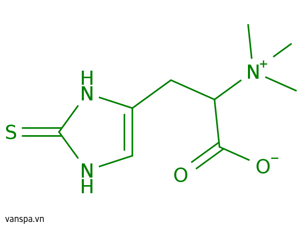 Ergothioneine
