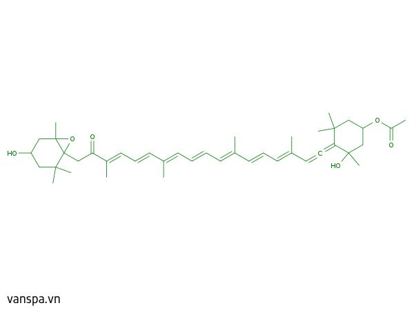 Fucoxanthin