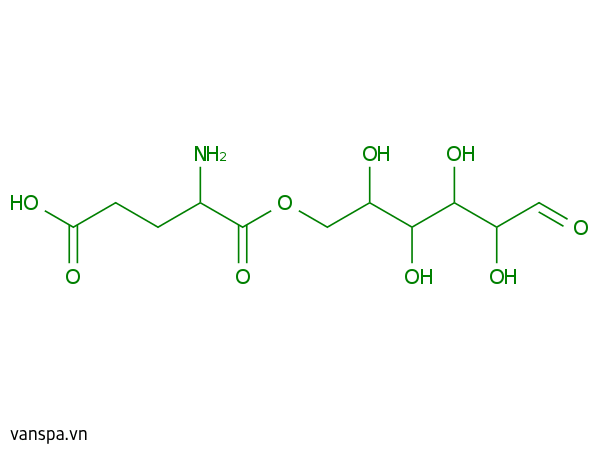 Glucose Glutamate