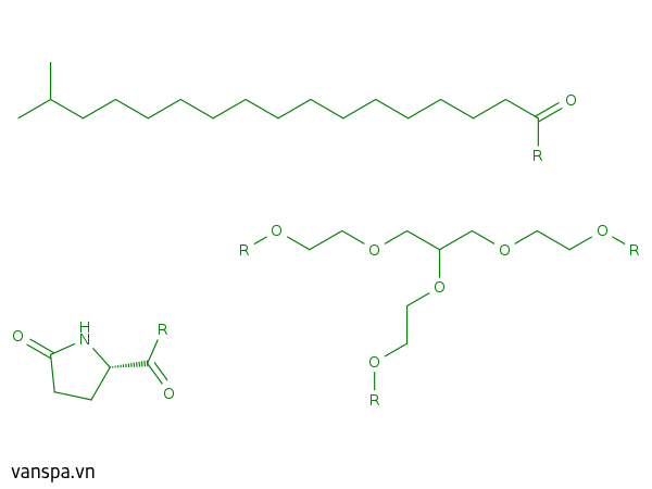 Glycereth-25 PCA Isostearate