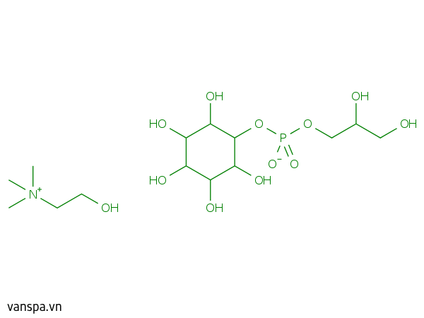 Glycerophosphoinositol Choline