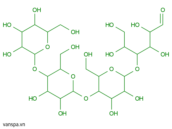 Hydrolyzed Starch