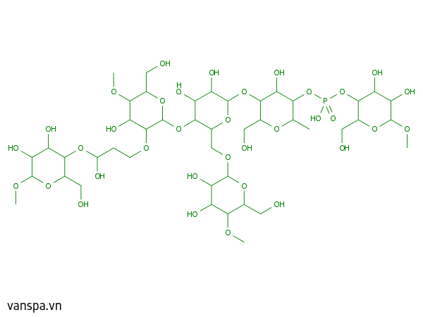Hydroxypropyl Starch Phosphate