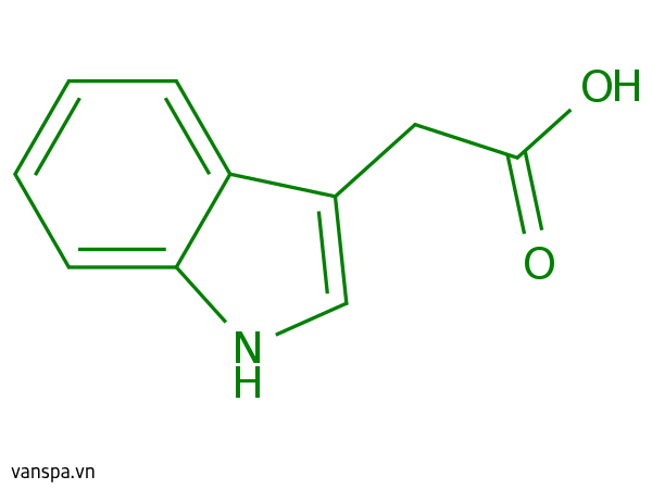 Indole Acetic Acid