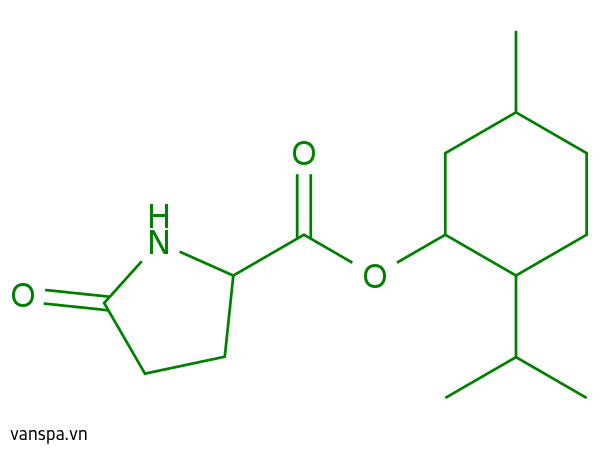 Menthyl PCA