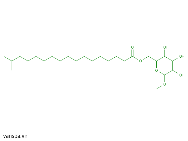 Methyl Glucose Isostearate