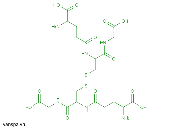 Oxidized Glutathione