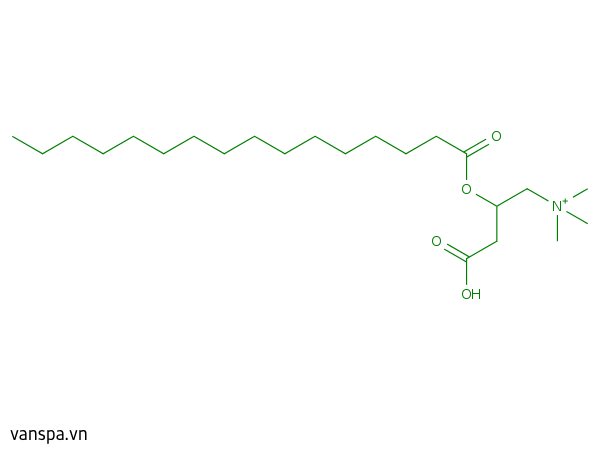 Palmitoyl Carnitine