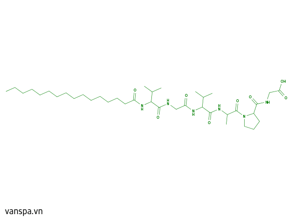 Palmitoyl Hexapeptide-12