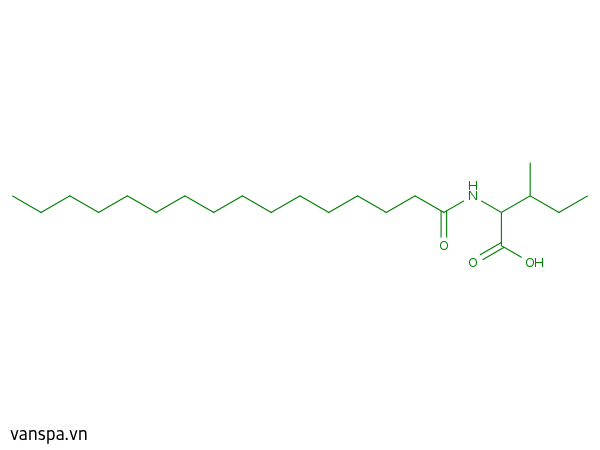 Palmitoyl Isoleucine