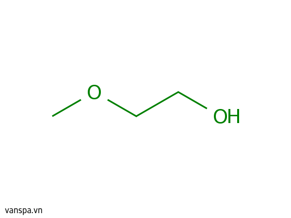 PEG-6 Methyl Ether