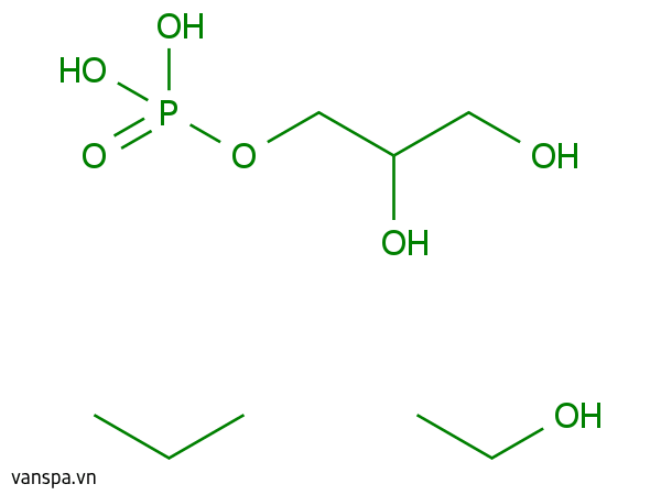 Phosphatidylglycerol