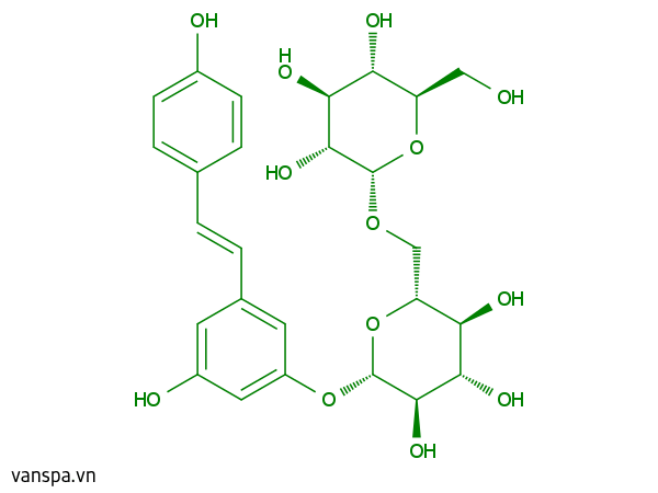 Polydatin Glucoside