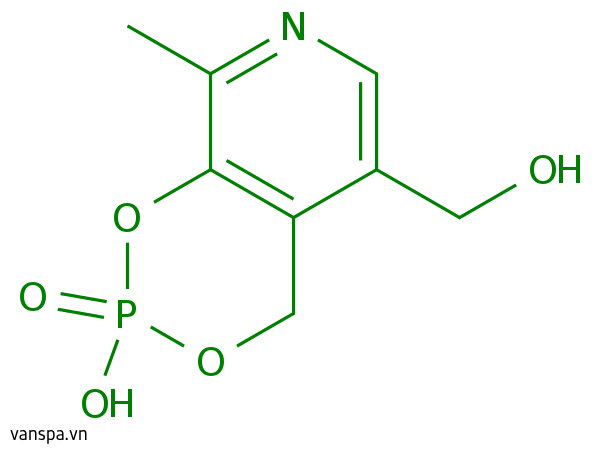 Pyridoxine Cyclic Phosphate