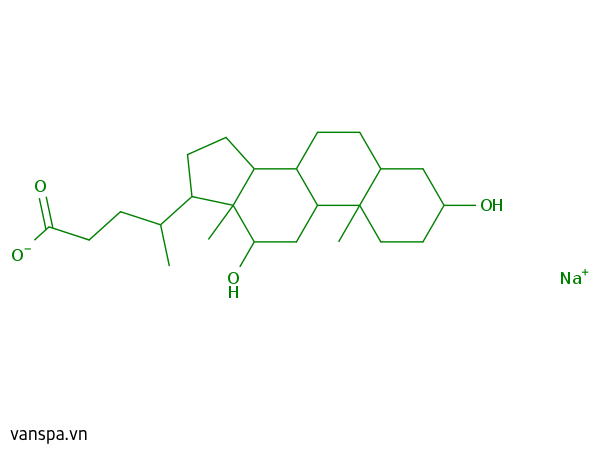 Sodium Deoxycholate