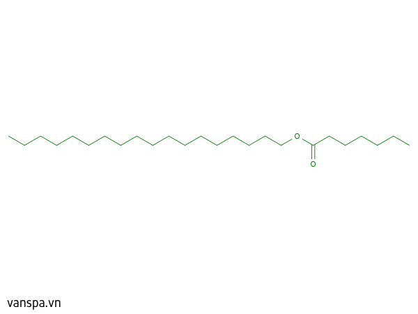 Stearyl Heptanoate